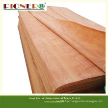 Folheado de boa qualidade Natural Plb para fabricação de madeira compensada